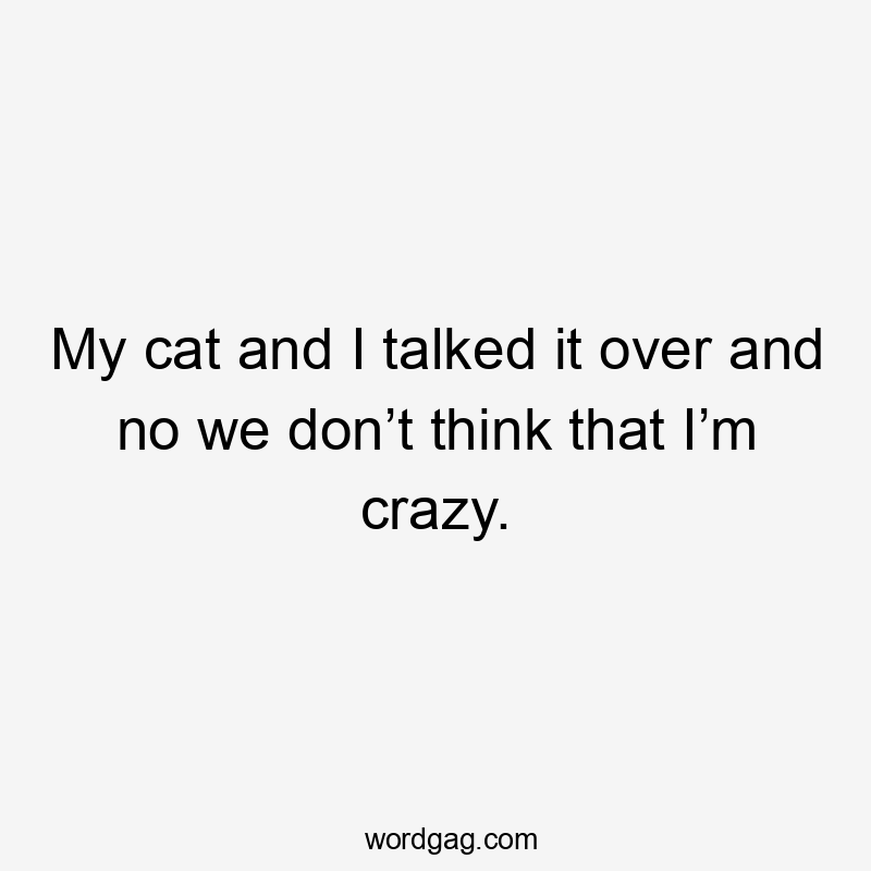 My cat and I talked it over and no we don’t think that I’m crazy.