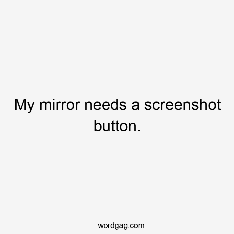 My mirror needs a screenshot button.