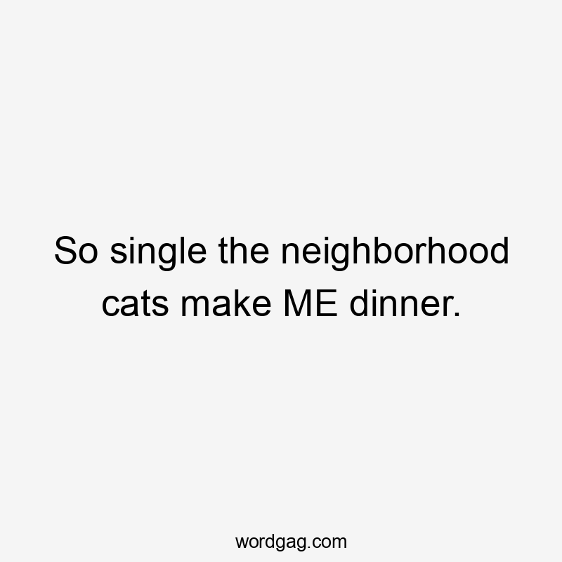 So single the neighborhood cats make ME dinner.