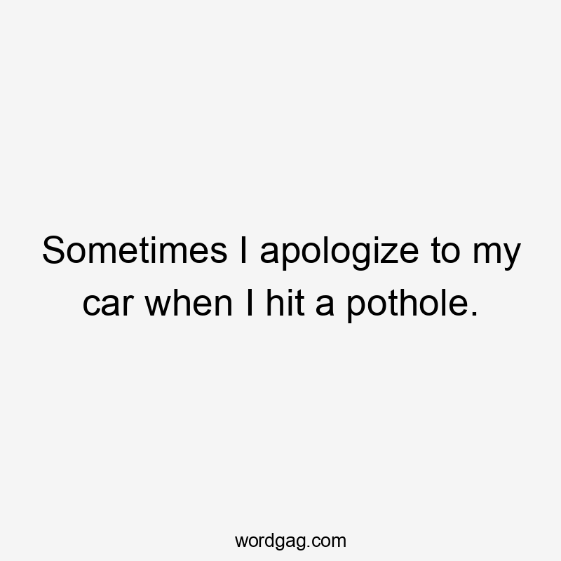 Sometimes I apologize to my car when I hit a pothole.