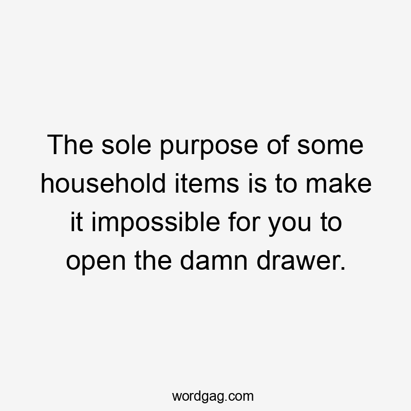 The sole purpose of some household items is to make it impossible for you to open the damn drawer.