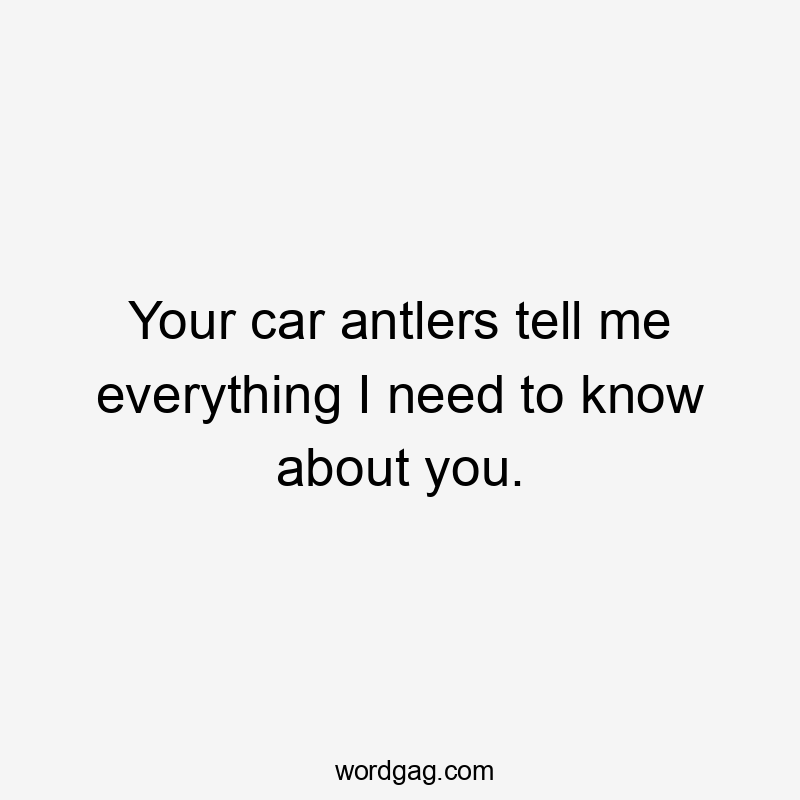 Your car antlers tell me everything I need to know about you.