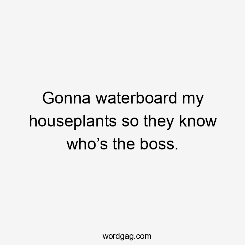 Gonna waterboard my houseplants so they know who’s the boss.