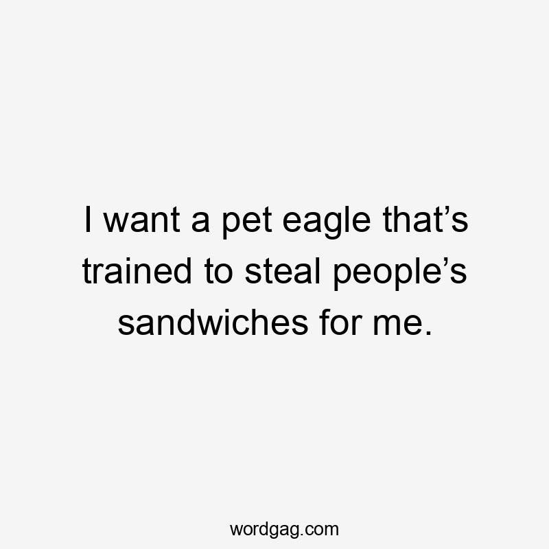 I want a pet eagle that’s trained to steal people’s sandwiches for me.