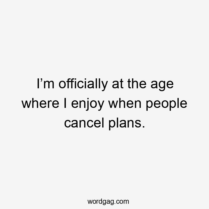 I’m officially at the age where I enjoy when people cancel plans.