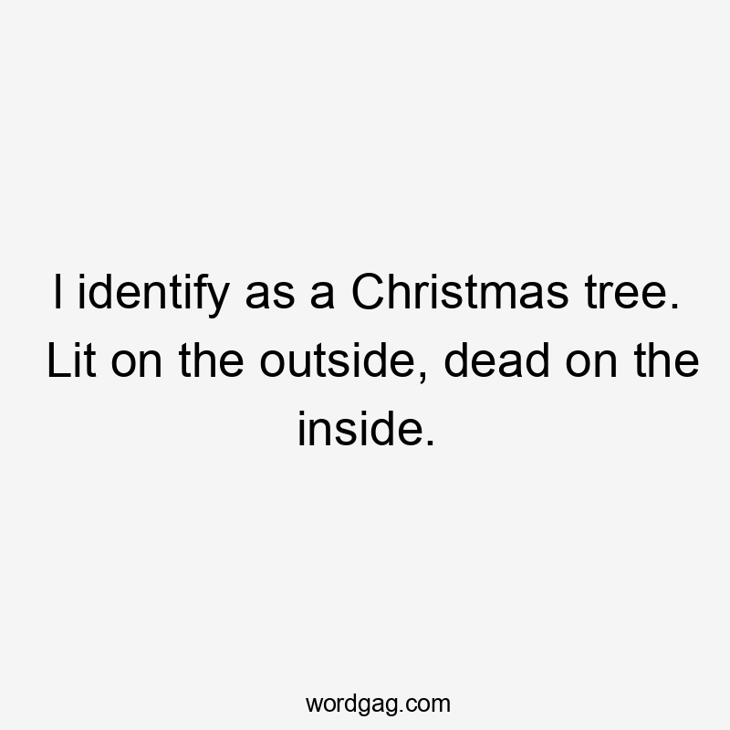 l identify as a Christmas tree. Lit on the outside, dead on the inside.