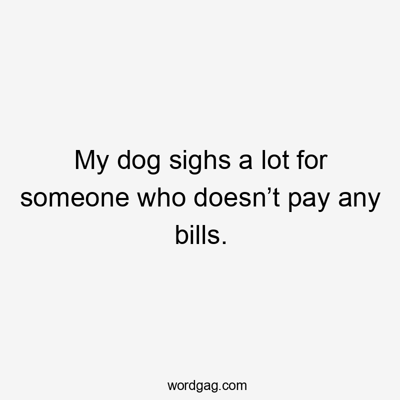 My dog sighs a lot for someone who doesn’t pay any bills.