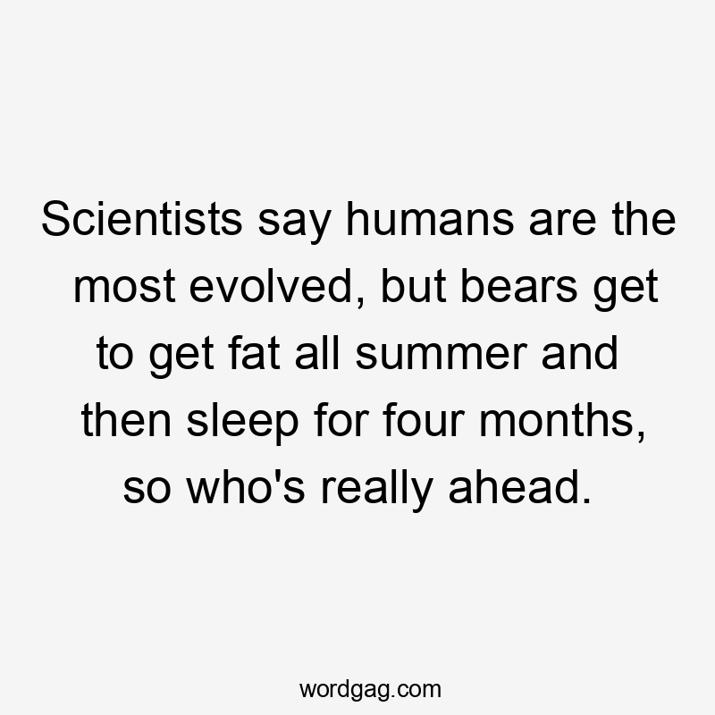 Scientists say humans are the most evolved, but bears get to get fat all summer and then sleep for four months, so who's really ahead.