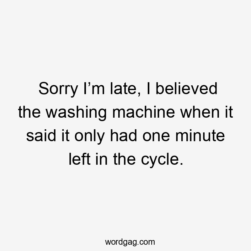 Sorry I’m late, I believed the washing machine when it said it only had one minute left in the cycle.