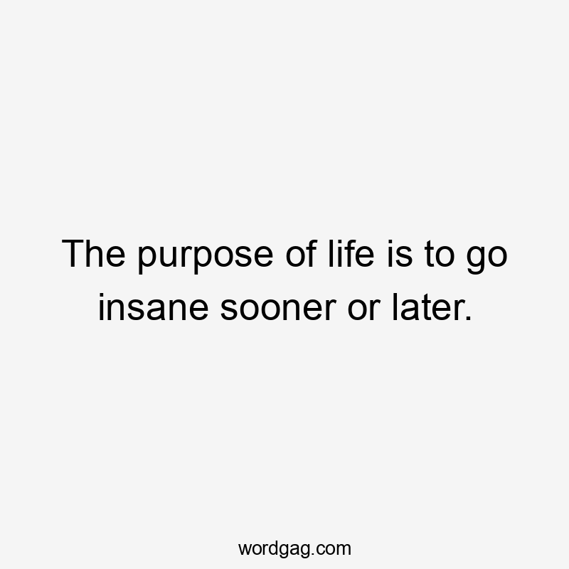 The purpose of life is to go insane sooner or later.