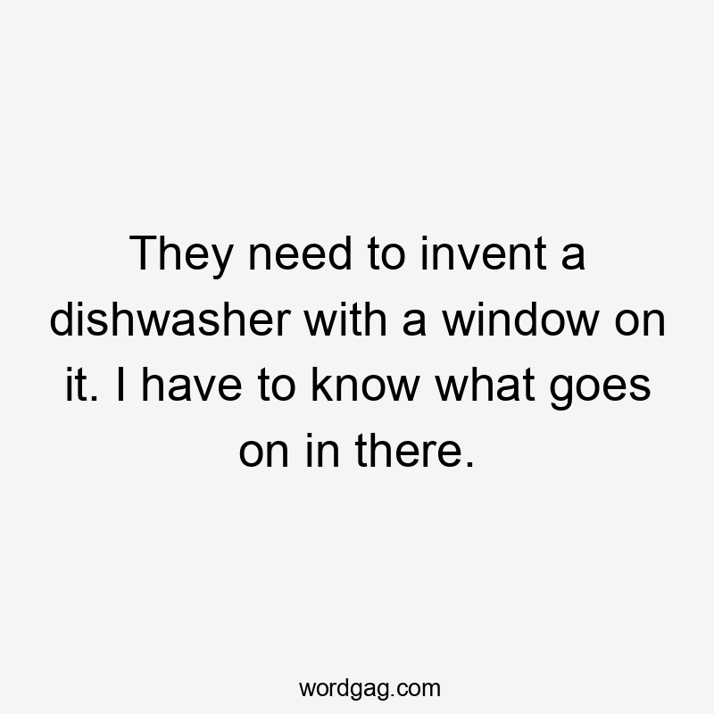 They need to invent a dishwasher with a window on it. I have to know what goes on in there.