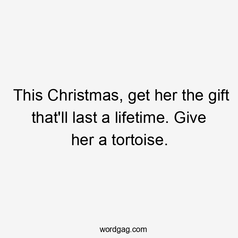 This Christmas, get her the gift that'll last a lifetime. Give her a tortoise.