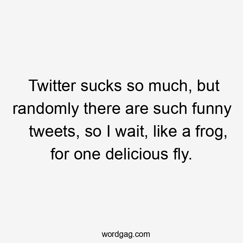 Twitter sucks so much, but randomly there are such funny tweets, so I wait, like a frog, for one delicious fly.