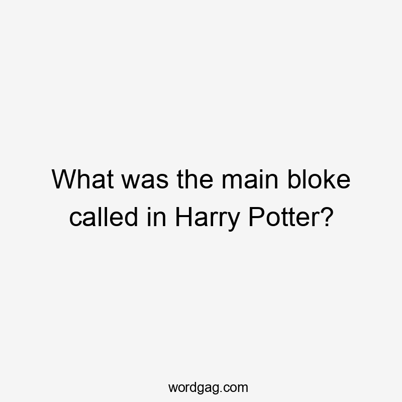 What was the main bloke called in Harry Potter?