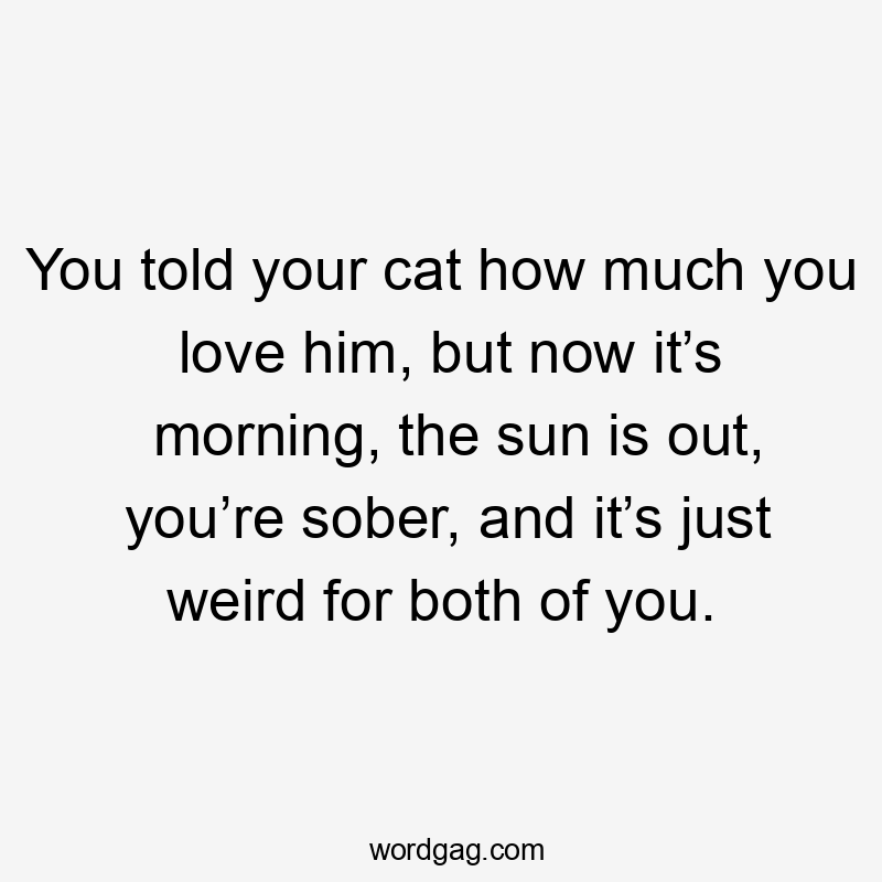 You told your cat how much you love him, but now it’s morning, the sun is out, you’re sober, and it’s just weird for both of you.