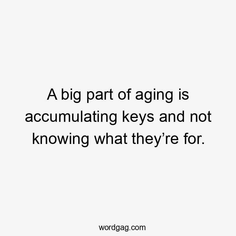 A big part of aging is accumulating keys and not knowing what they’re for.