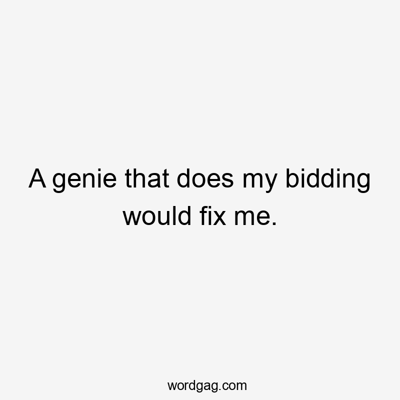 A genie that does my bidding would fix me.