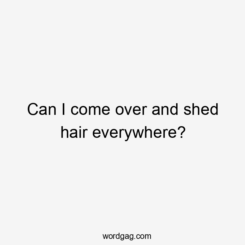 Can I come over and shed hair everywhere?