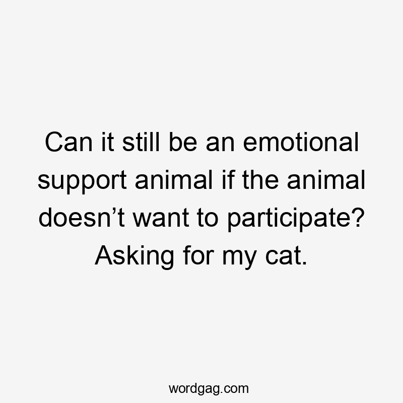 Can it still be an emotional support animal if the animal doesn’t want to participate? Asking for my cat.