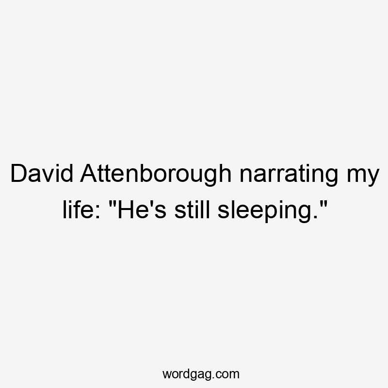 David Attenborough narrating my life: "He's still sleeping."