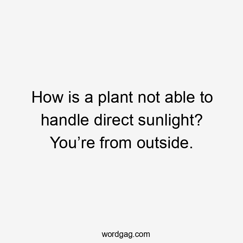 How is a plant not able to handle direct sunlight? You’re from outside.