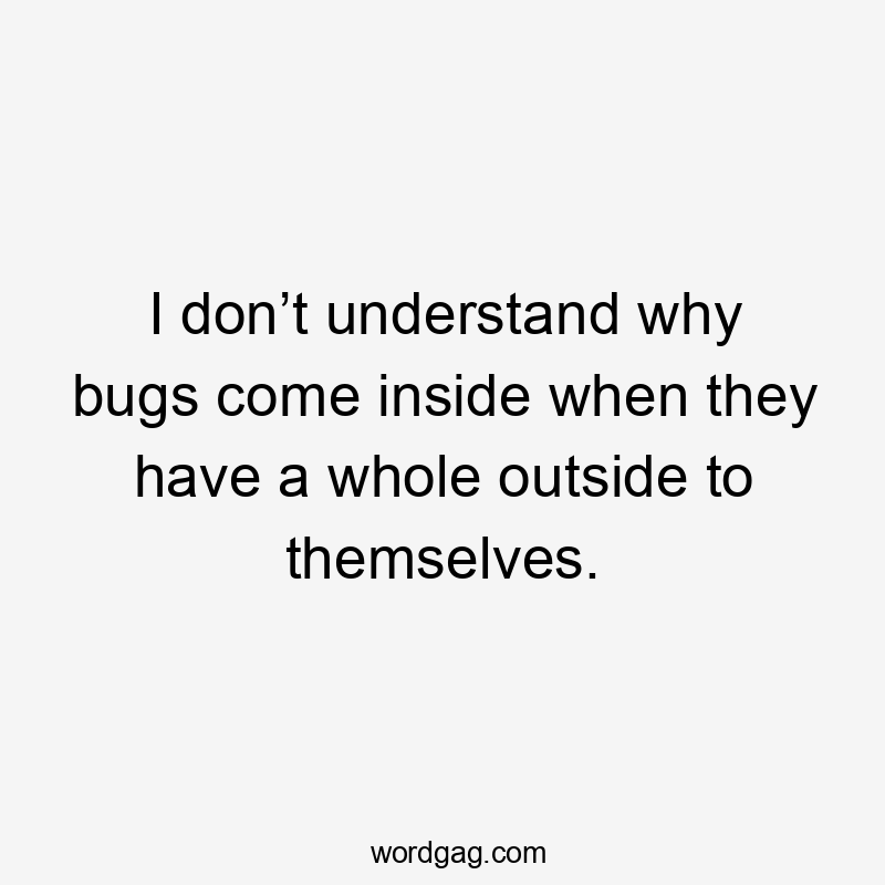 I don’t understand why bugs come inside when they have a whole outside to themselves.