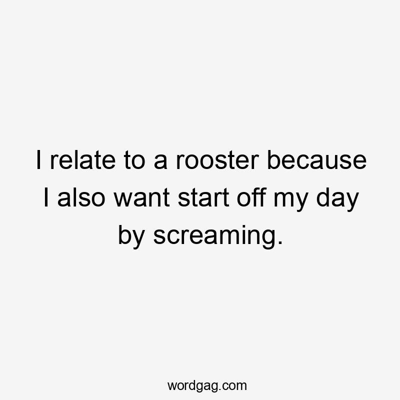 I relate to a rooster because I also want start off my day by screaming.