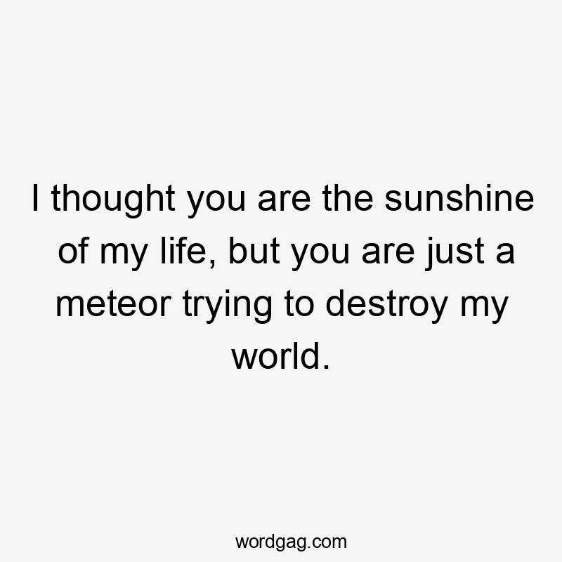 I thought you are the sunshine of my life, but you are just a meteor trying to destroy my world.