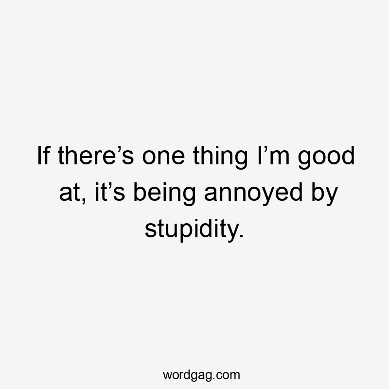 If there’s one thing I’m good at, it’s being annoyed by stupidity.