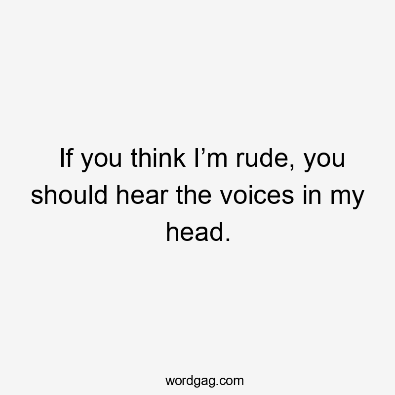 If you think I’m rude, you should hear the voices in my head.