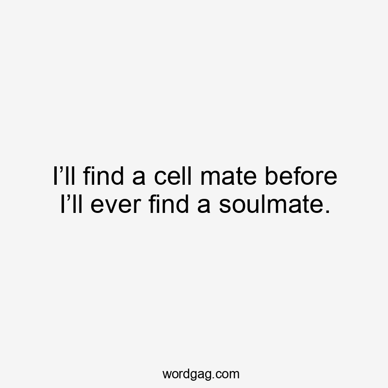 I’ll find a cell mate before I’ll ever find a soulmate.