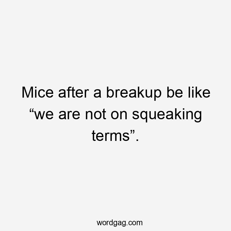 Mice after a breakup be like “we are not on squeaking terms”.