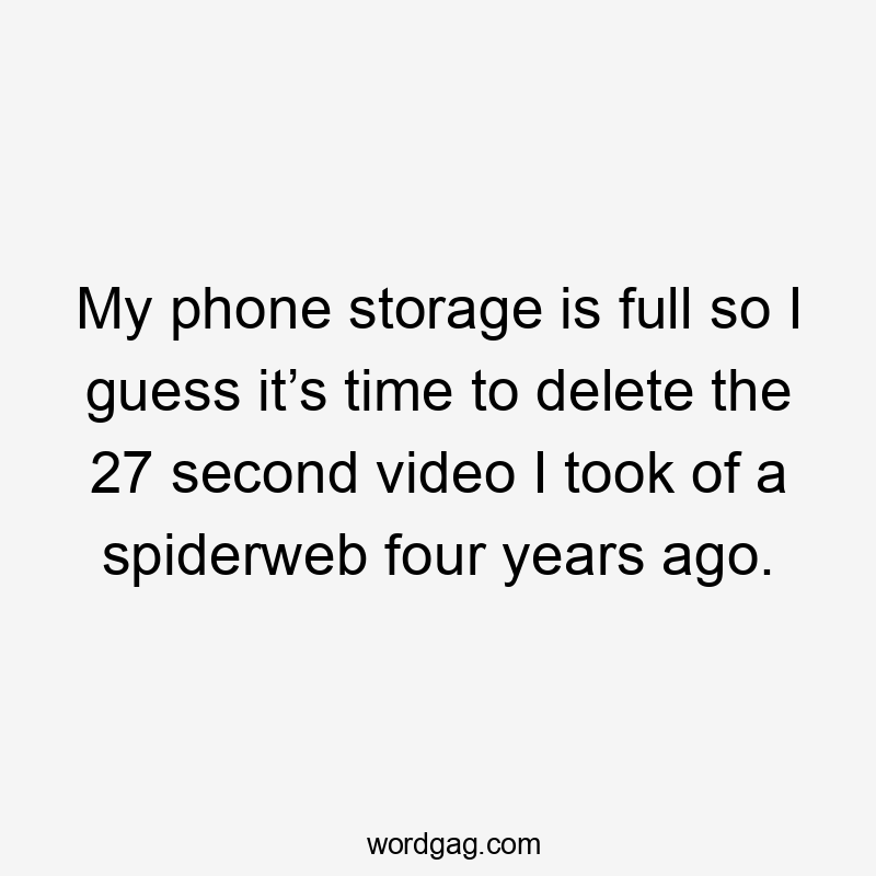 My phone storage is full so I guess it’s time to delete the 27 second video I took of a spiderweb four years ago.