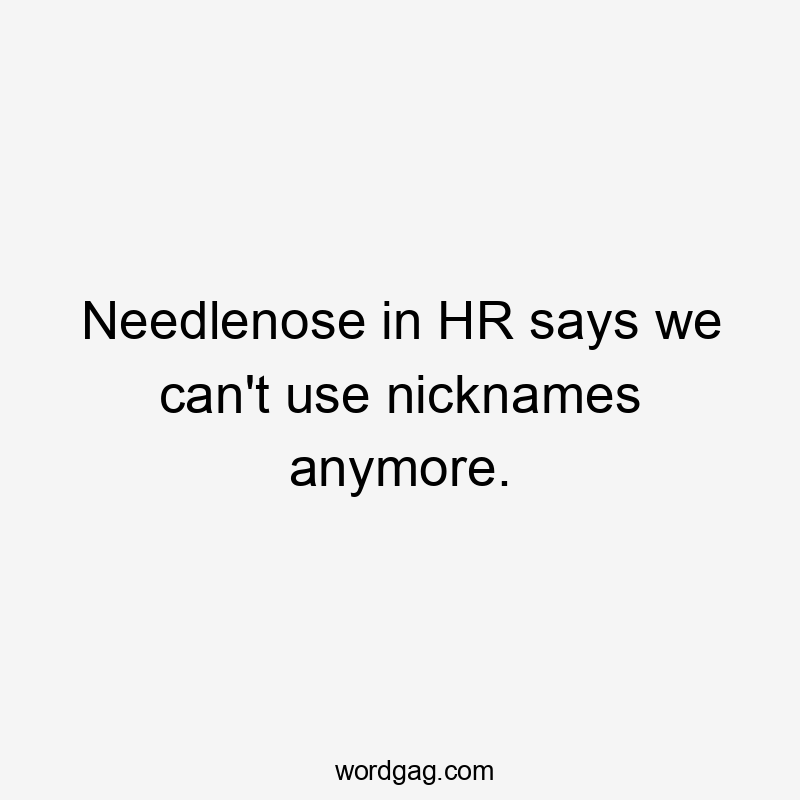 Needlenose in HR says we can't use nicknames anymore.