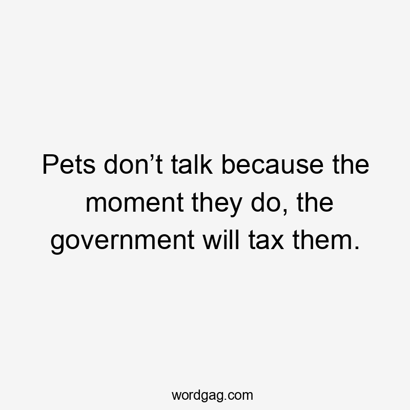 Pets don’t talk because the moment they do, the government will tax them.