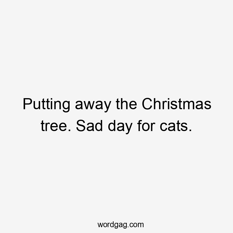 Putting away the Christmas tree. Sad day for cats.