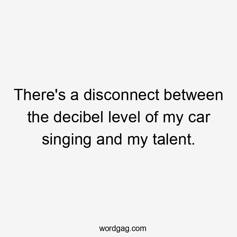 There's a disconnect between the decibel level of my car singing and my talent.