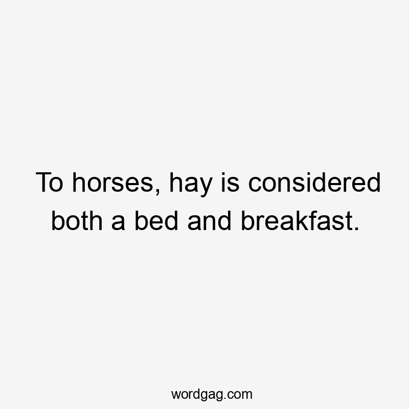 To horses, hay is considered both a bed and breakfast.