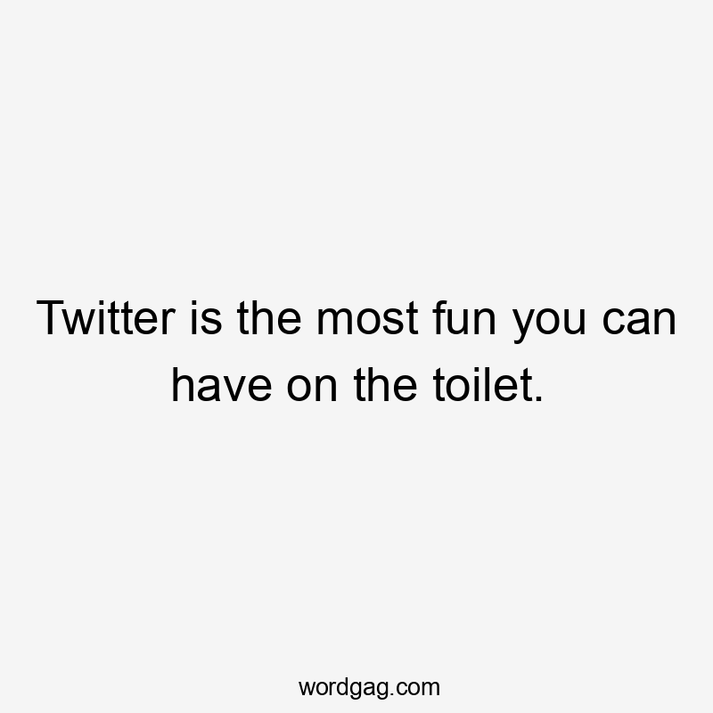 Twitter is the most fun you can have on the toilet.