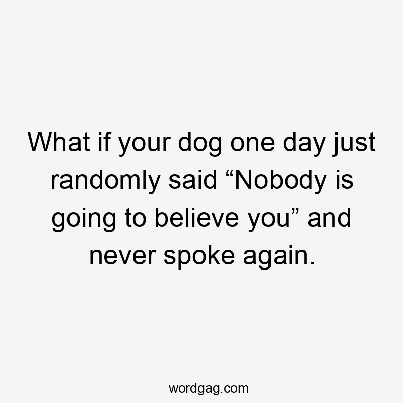 What if your dog one day just randomly said “Nobody is going to believe you” and never spoke again.