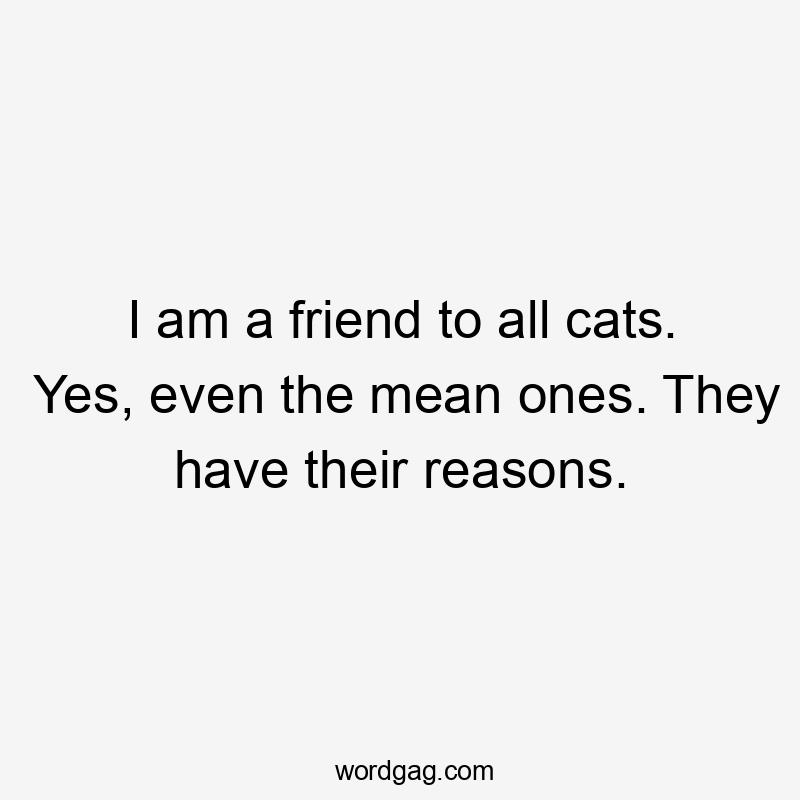 I am a friend to all cats. Yes, even the mean ones. They have their reasons.