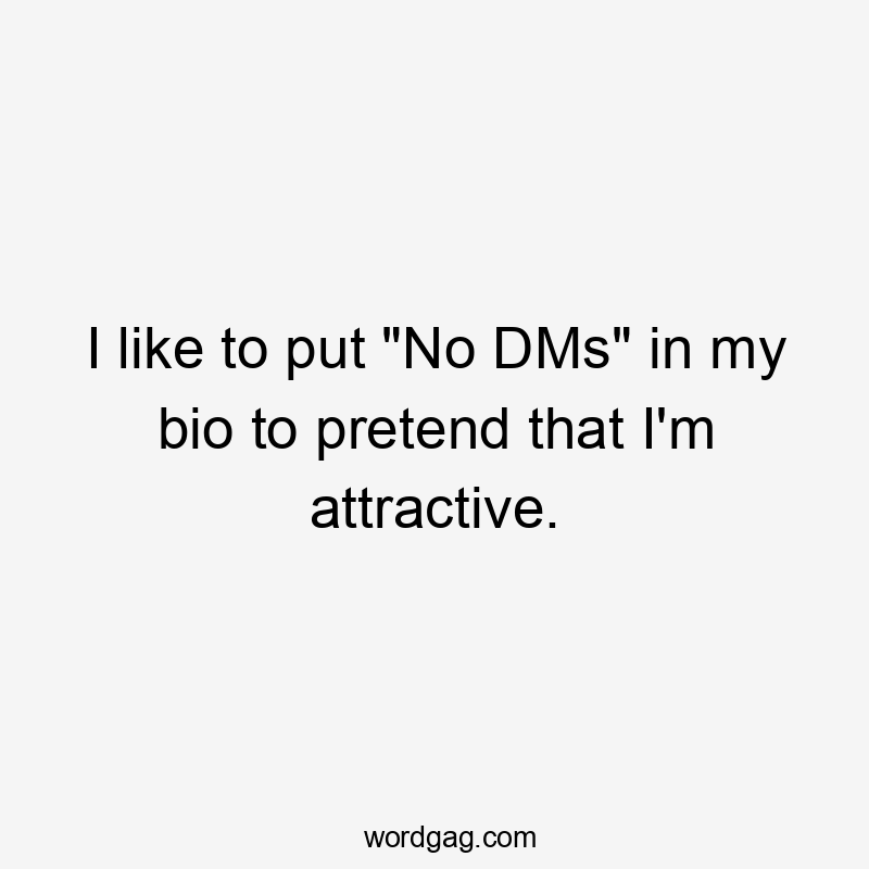 I like to put "No DMs" in my bio to pretend that I'm attractive.