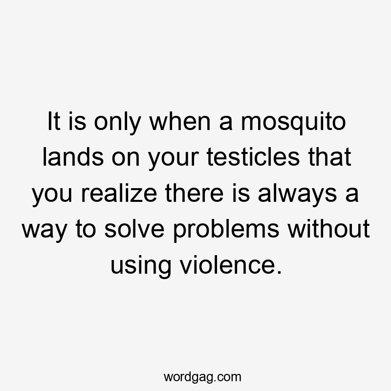 It is only when a mosquito lands on your testicles that you realize there is always a way to solve problems without using violence.