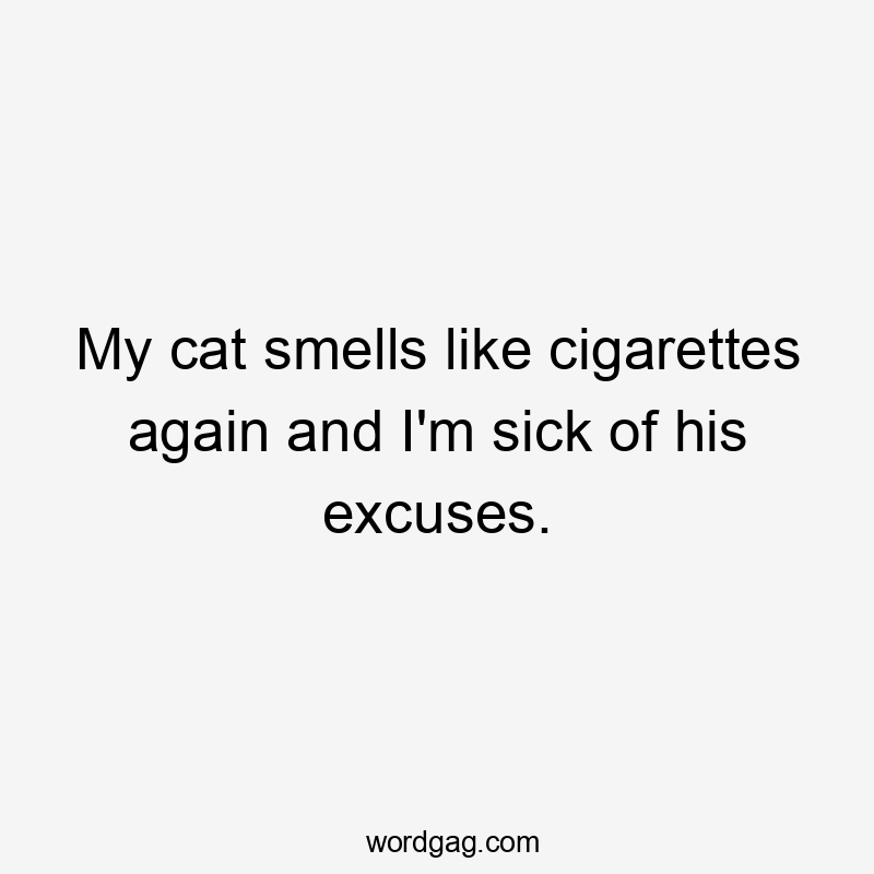 My cat smells like cigarettes again and I'm sick of his excuses.