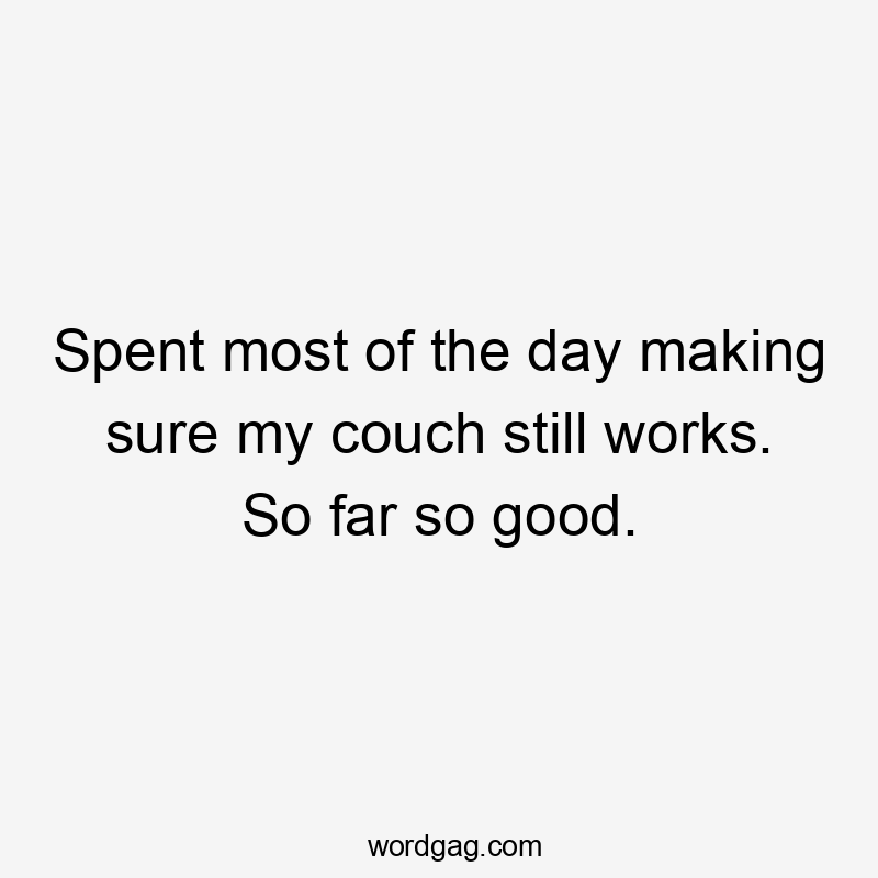 Spent most of the day making sure my couch still works. So far so good.