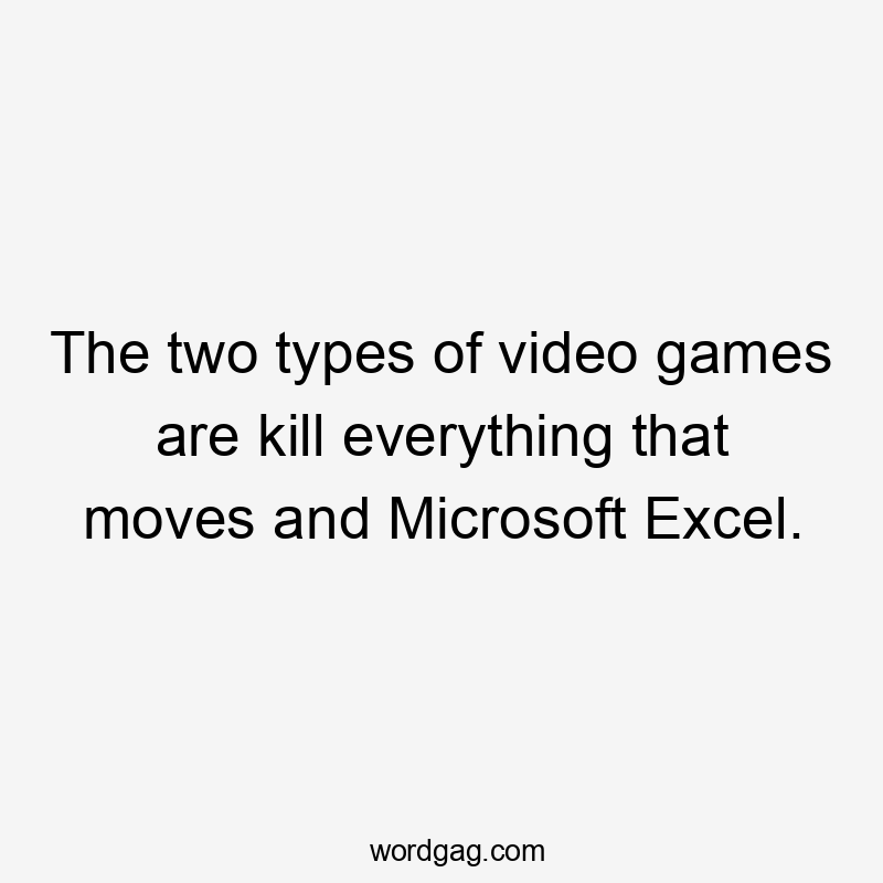 The two types of video games are kill everything that moves and Microsoft Excel.