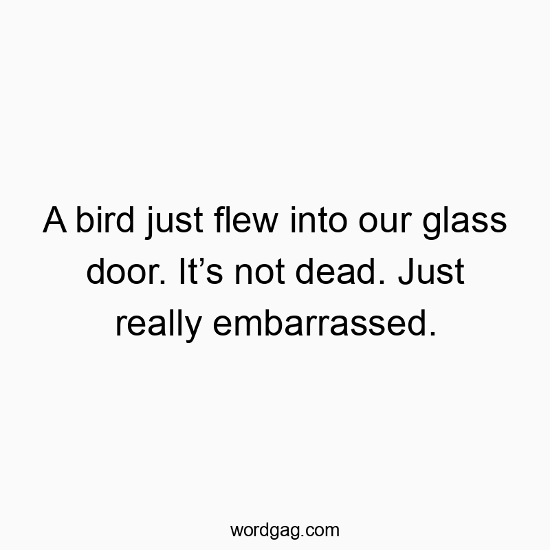 A bird just flew into our glass door. Іt’s not dead. Just really embarrassed.