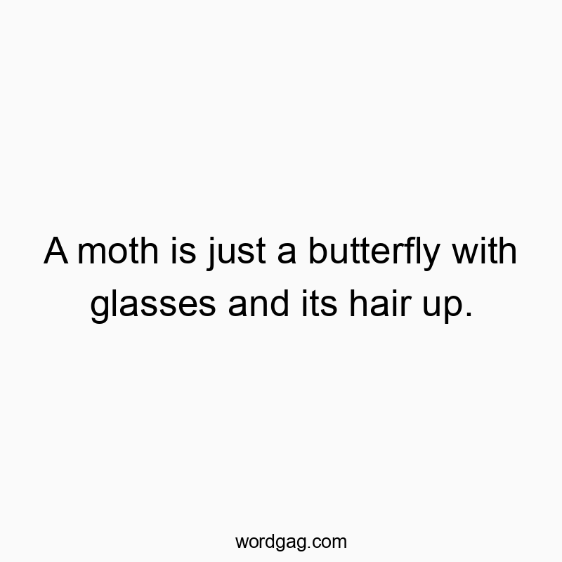 1471 Funny joke quotes - A moth is just a butterfly with glasses and its hair up.