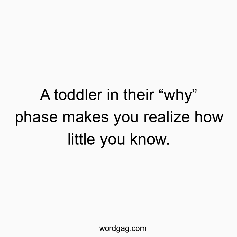 A toddler in their โwhyโ phase makes you realize how little you know.