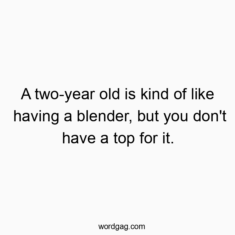 Funny quote about the chaotic energy of a two-year-old, comparing them to an untamed blender.